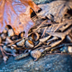 Image for article titled Shooting Challenge Freelensing Gallery 2